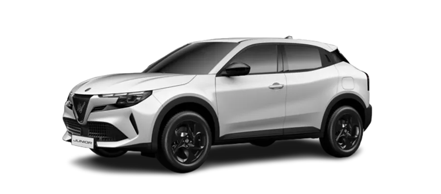 Alfa Romeo Junior in vendita a Torino